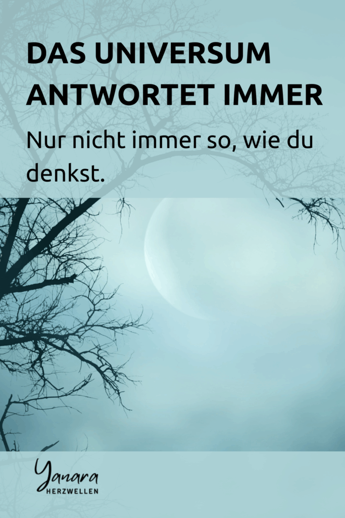 Ob durch geschlossene Türen, verstärkte Sehnsüchte oder unerwartete Umwege, das Universum kommuniziert ständig. Der Artikel erklärt, wie du diese Zeichen erkennst und deine innere Ausrichtung klarer wählst. #universumundich #schwingungsgesetz #energiefließt #coCreation