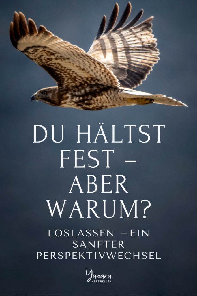 Wenn du festhältst, versuchst du oft, Sicherheit im Außen zu finden. Doch wahre Sicherheit entsteht in dir, wenn du lernst loszulassen. Dieser Artikel zeigt dir, wie du sanft alte Gedankenmuster löst und Raum für neue Möglichkeiten schaffst.