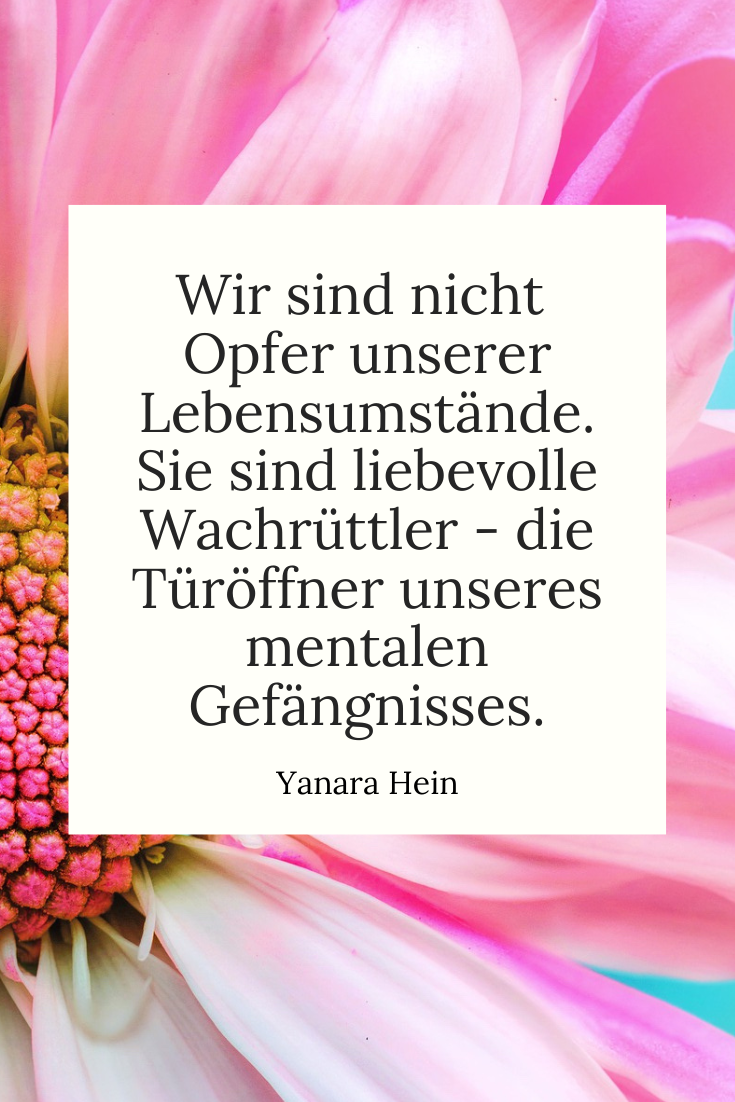 Deine Vergangenheit hält Schätze bereit. Erfahre, wie du sie liebevoll integrierst und dein Herz für neue Möglichkeiten öffnest. Spirituelle Impulse & praktische Übungen für deinen Heilungsweg.