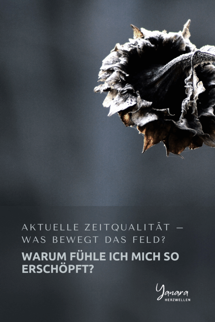 Heilung geschieht nicht im Analysieren, sondern im Fühlen. Was deine Erschöpfung dir mitteilen will.