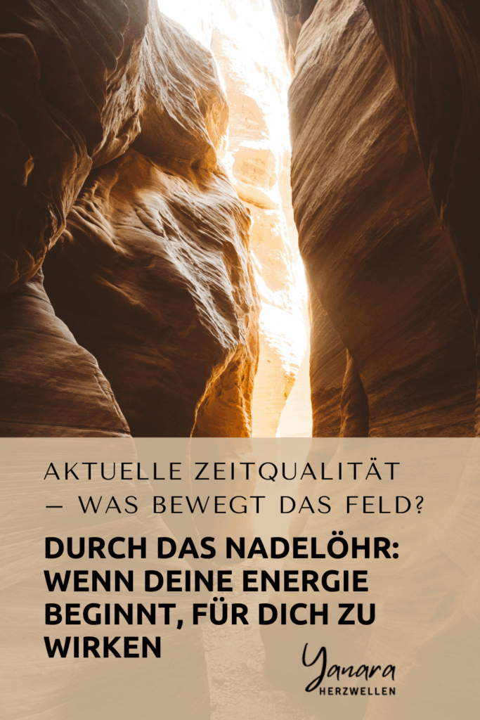 Die Zeitqualität führt dich durch ein energetisches Nadelöhr – hinein in eine höhere Frequenz. Entdecke, wie du altes Gepäck abstreifst und deine Essenz spürbar wird. Ein Impuls für mehr Klarheit und Verkörperung.